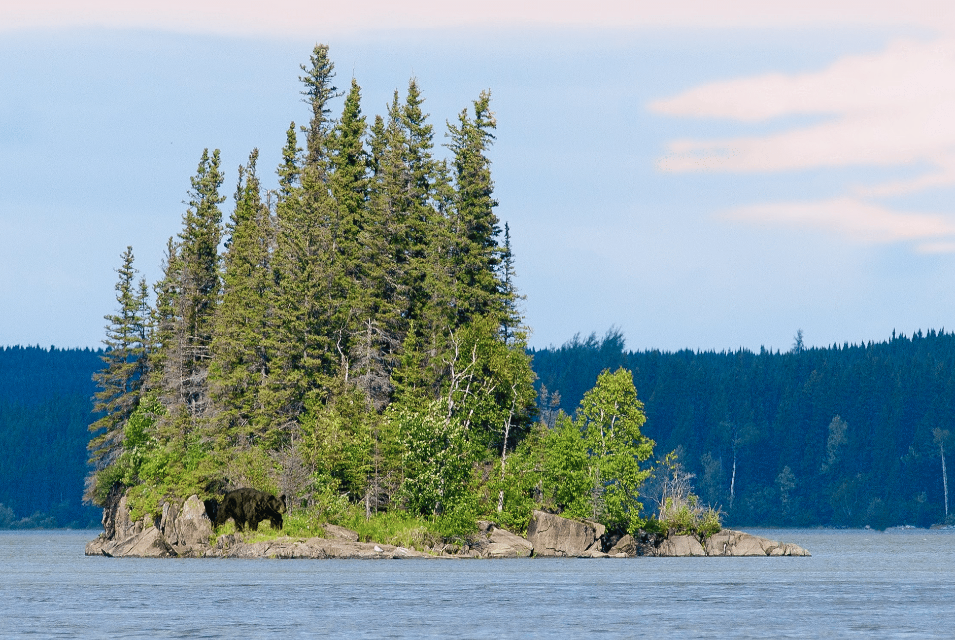 Featured image for “Boreal Lands Serve Boreal Waters”