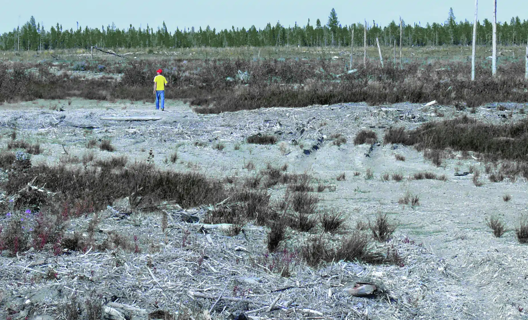 Featured image for “Your Voice Needed Now to Protect Manitoba’s Provincial Parks From Logging and Mining!”