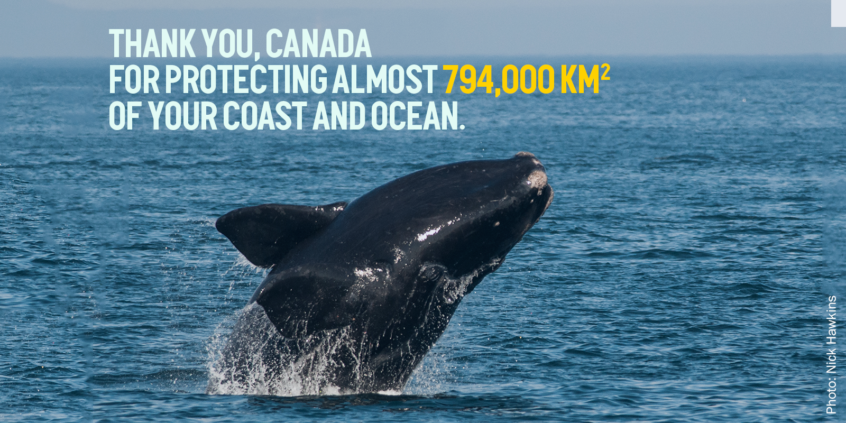 Thank you Canada for Protecting Almost 794,000 km2 of our coast and ocean