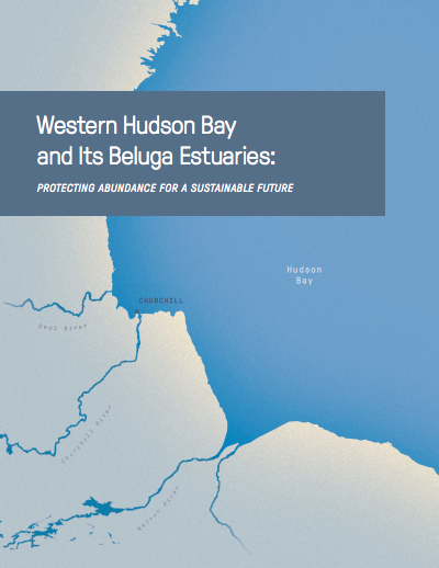 Western Hudson Bay and Its Beluga Estuaries Oceans North Report
