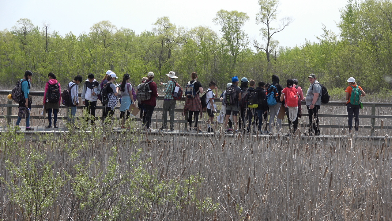 Amber Trails students in Assinaboine Forest June 2019