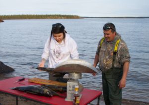Rebecca Thorassie of Sayisi Dene First Nation learns about fish monitoring at the Tadoule Lake Stewardship Summit (credit: Mira Oberman, CPAWS Manitoba)