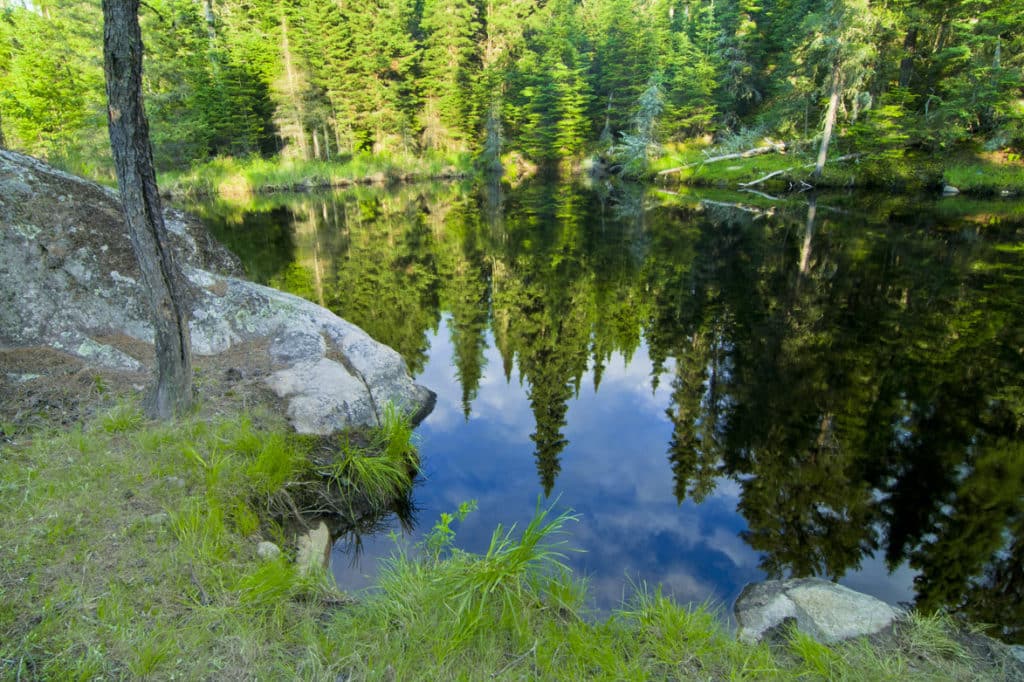 Reflection in Manitoba nature. By Ron Thiessen.