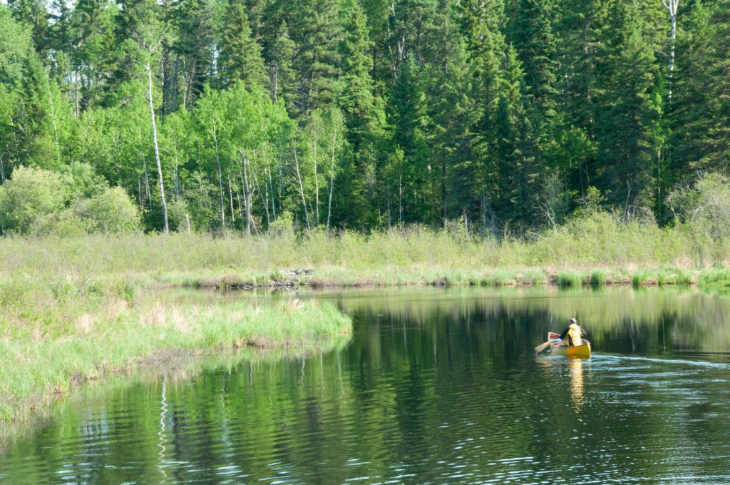 Manitoba nature by Ron Thiessen