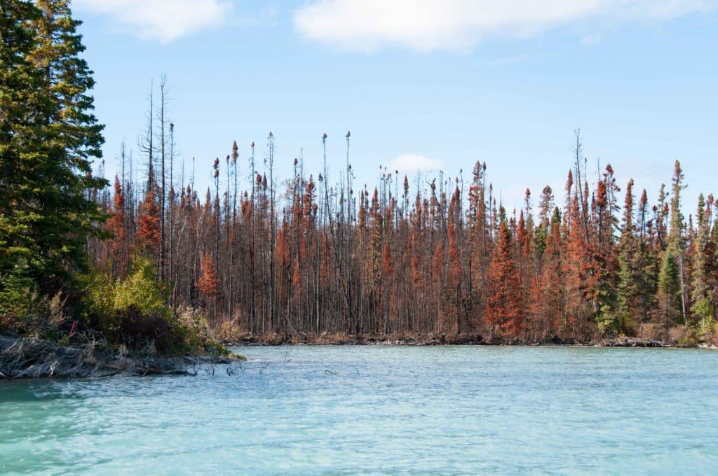 Little Limestone Lake by Ron Thiessen