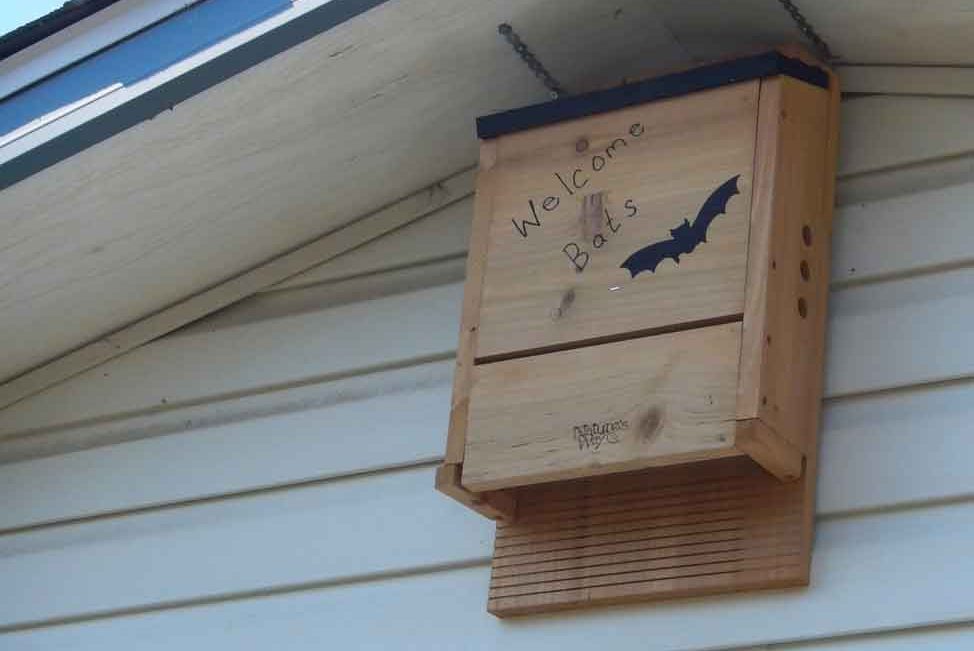A bat box is a simple way to provide additional roosting habitat for bats.