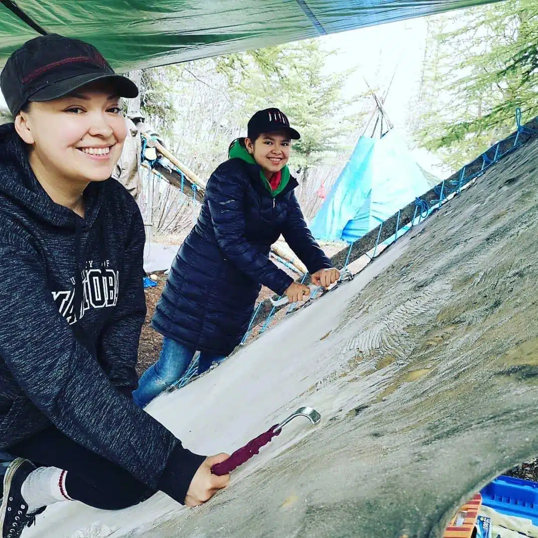 Stephanie Thorassie prepares a caribou hide for tanning.