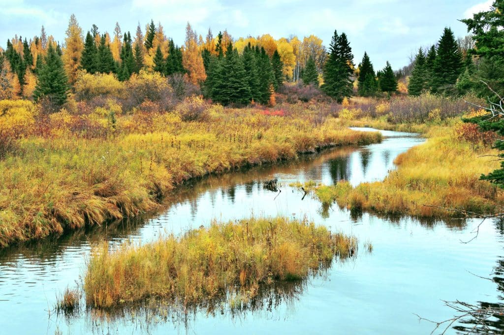Riding Mountain National Park in Manitoba
