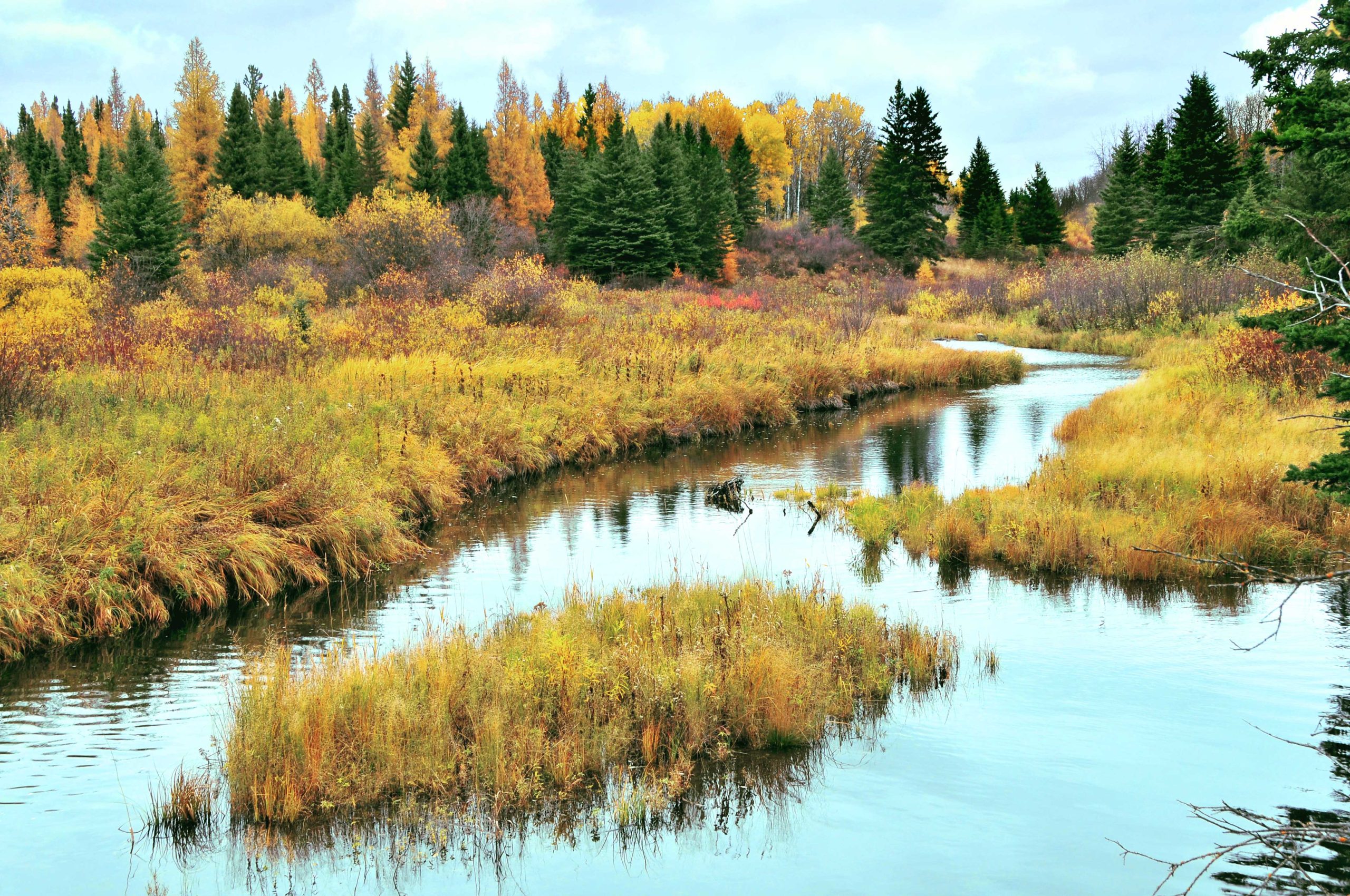 Featured image for “Thousands of Manitobans Connect to Nature Through Free CPAWS Webinars”