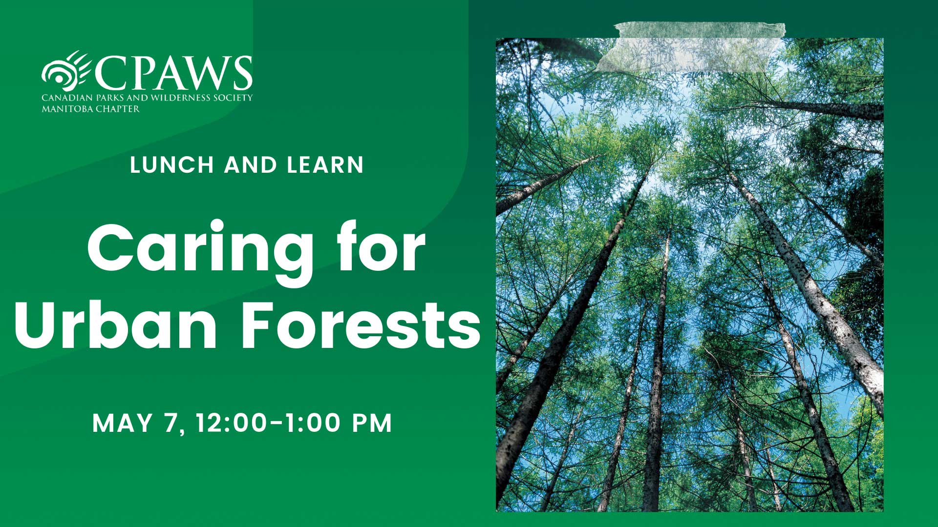 urban forest webinar