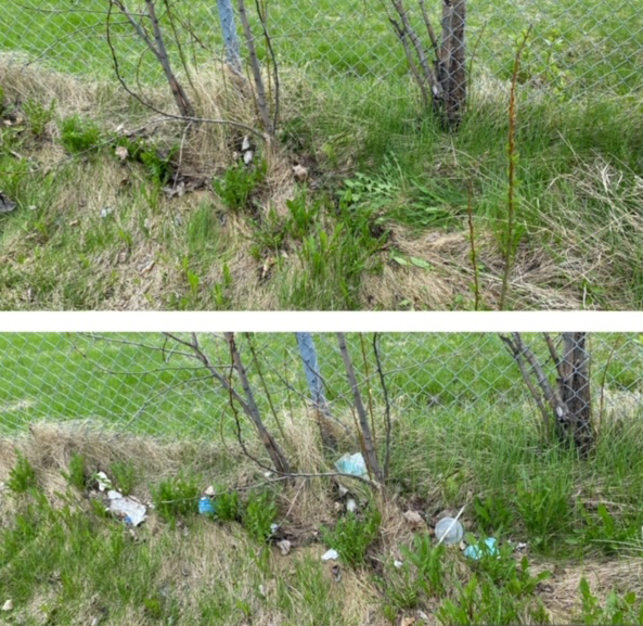 Before and after photos of a litter cleanup.