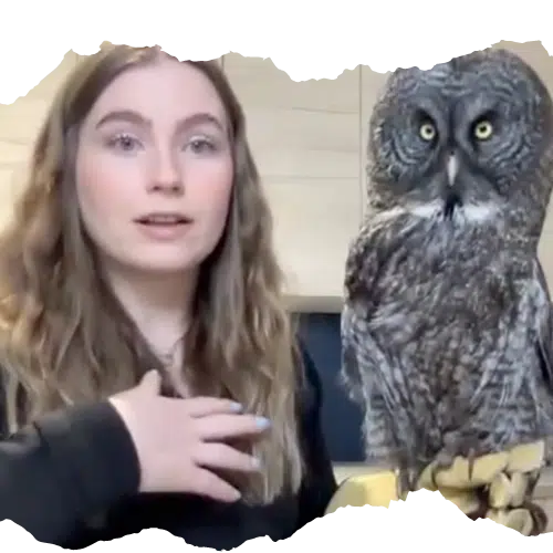 woman holds owl