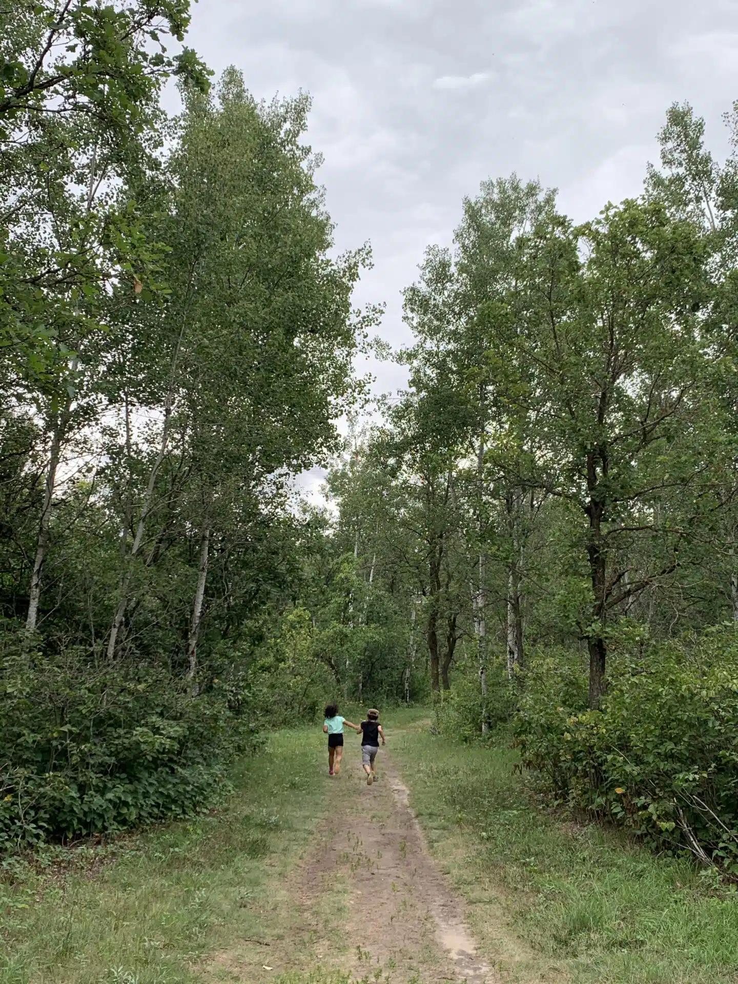 Children race down the Chickadee Trail in summer 2022. 