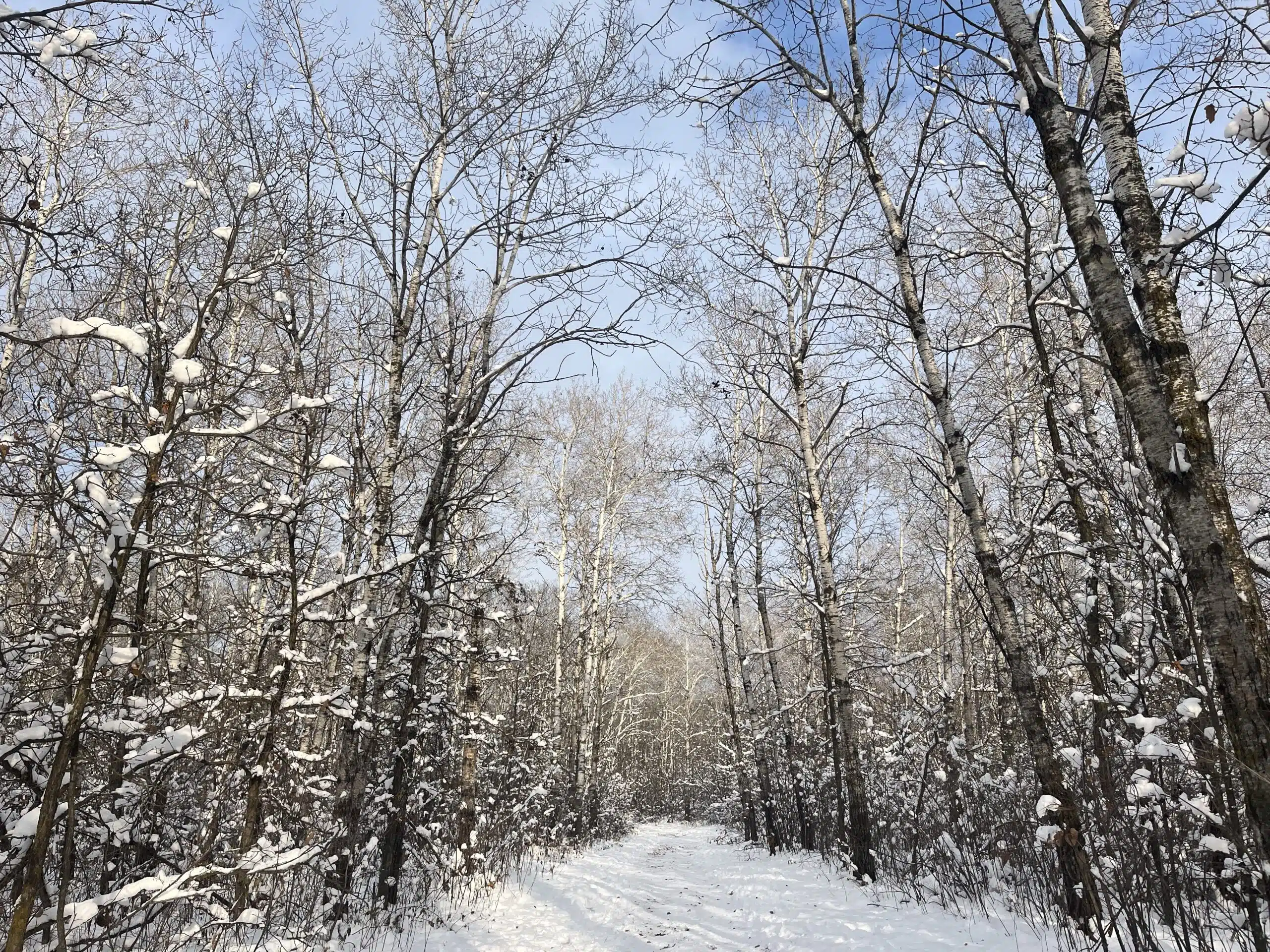 Featured image for “Get Students Outside this Winter”