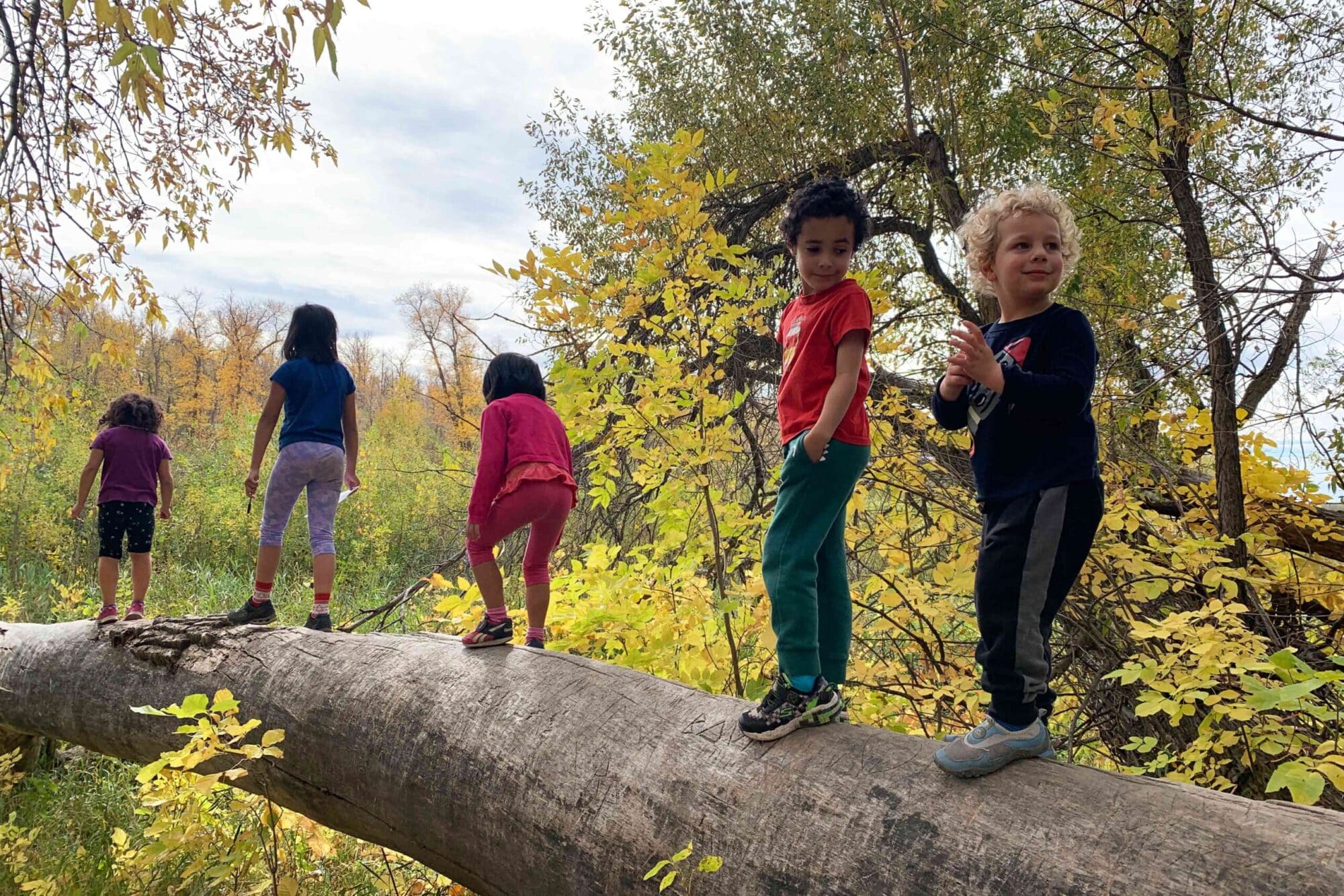 Kids climb a fallen tree on a hike at Beaudry Provincial Park.