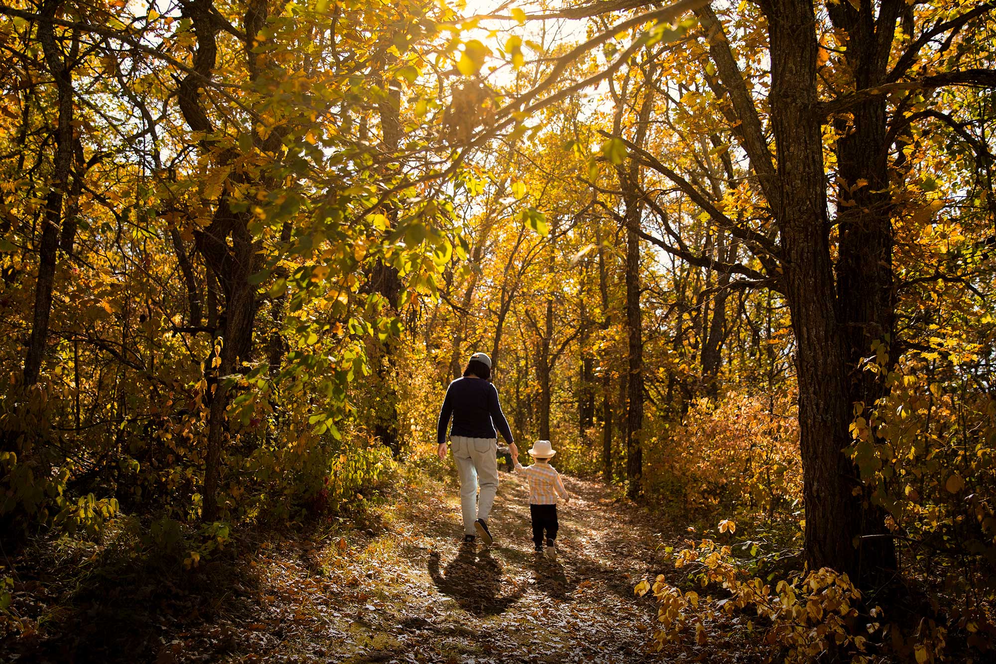 A grandmother and grandchild walk through a forest in Pembina Valley Provincial Park in Manitoba.
