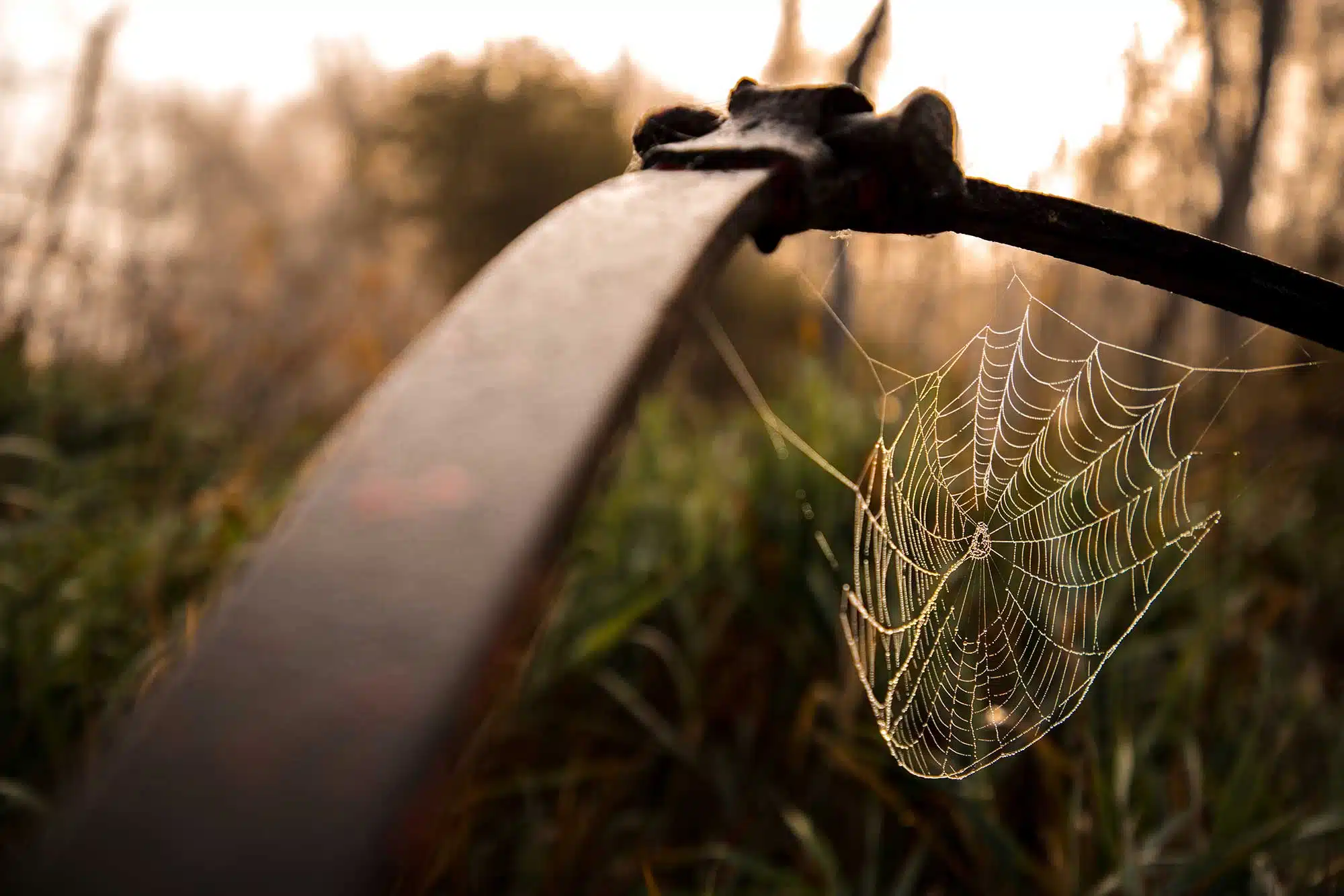 A spider web on old farm equipment in Brandon, Manitoba.