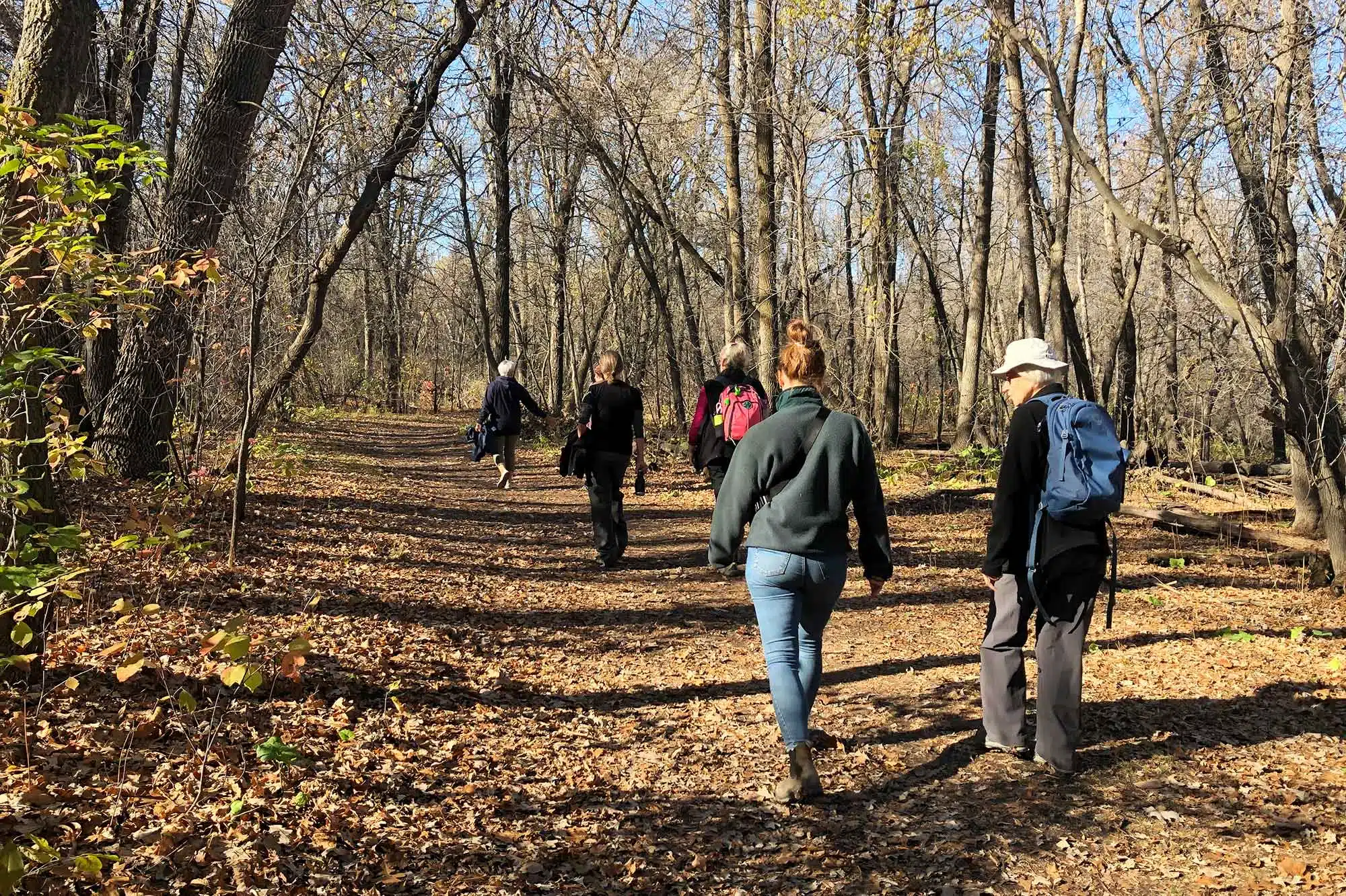 People hiking through the forest during La Barrière Park Loop.