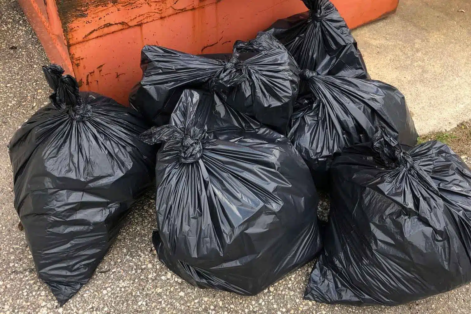 Bags of trash after students picked up litter as part of the CPAWS Manitoba challenge.