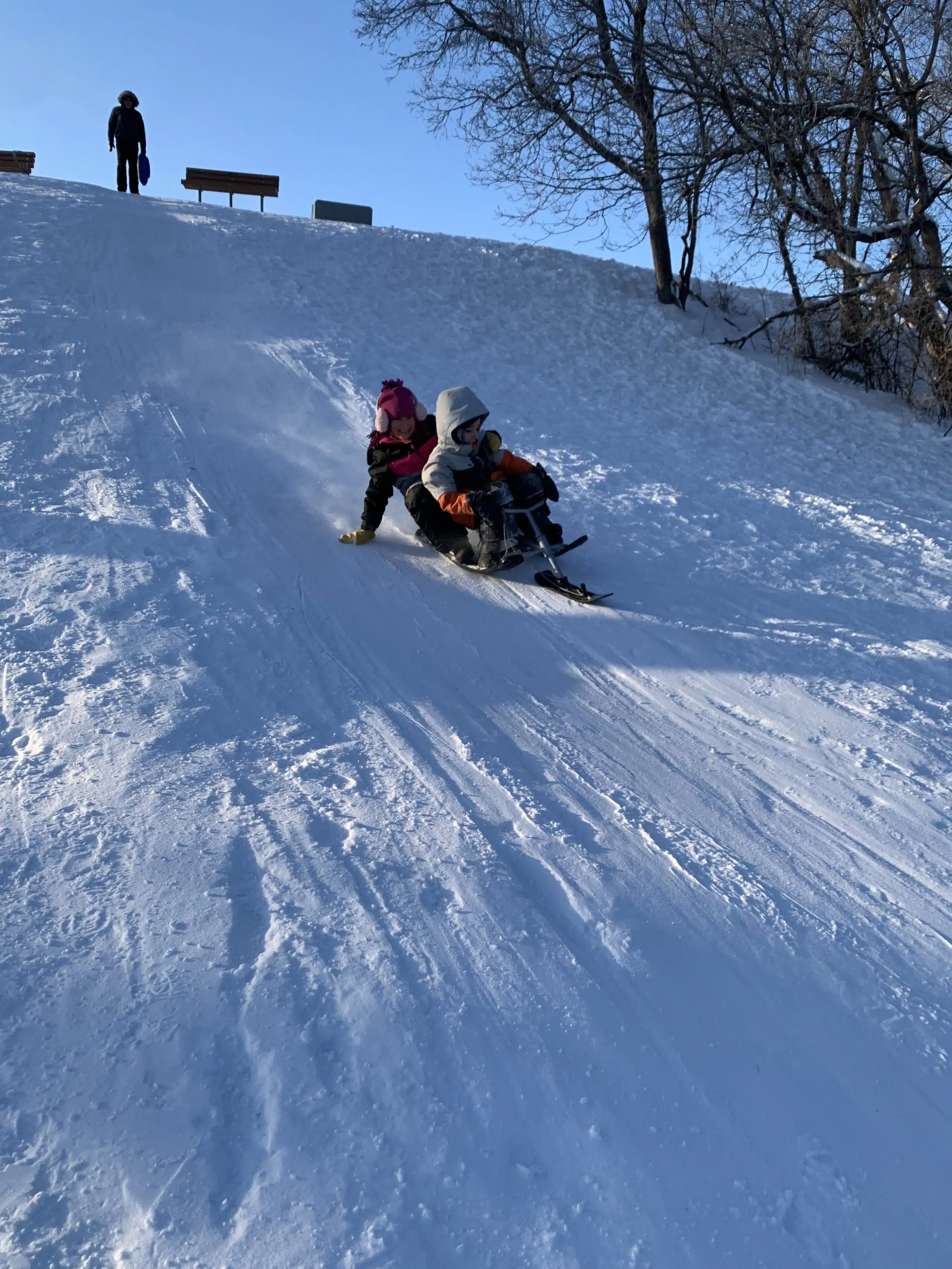 Kids toboganning at Omand Creek in Winnipeg January 2022 credit Mira Oberman