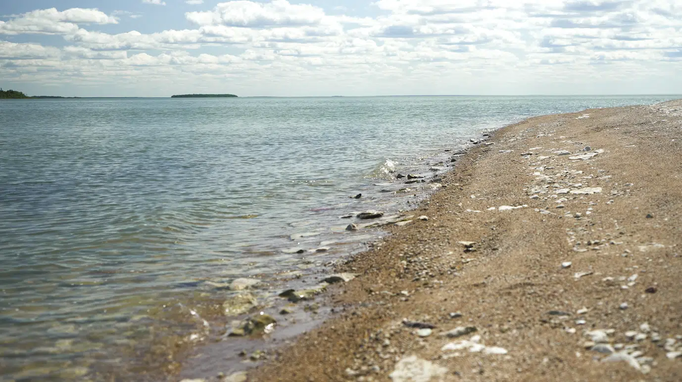 Featured image for “Lessons from the Land”
