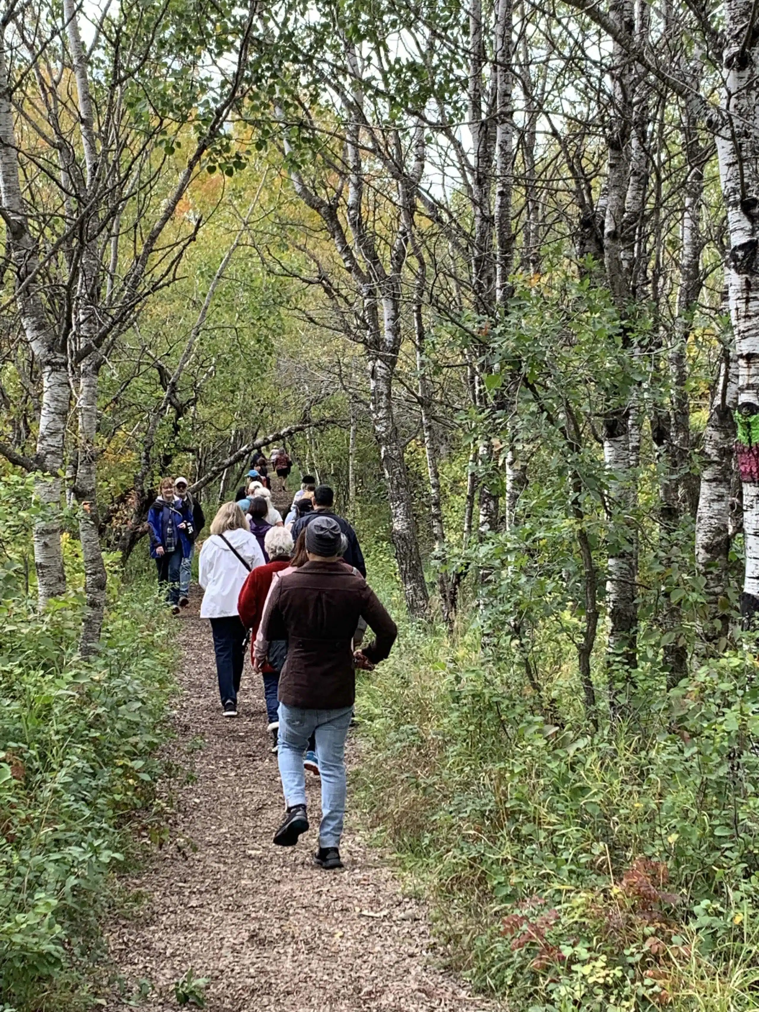 People walk on a trail in Assiniboine Forest 