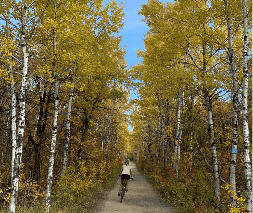 person rides a bike in Assiniboine Forest