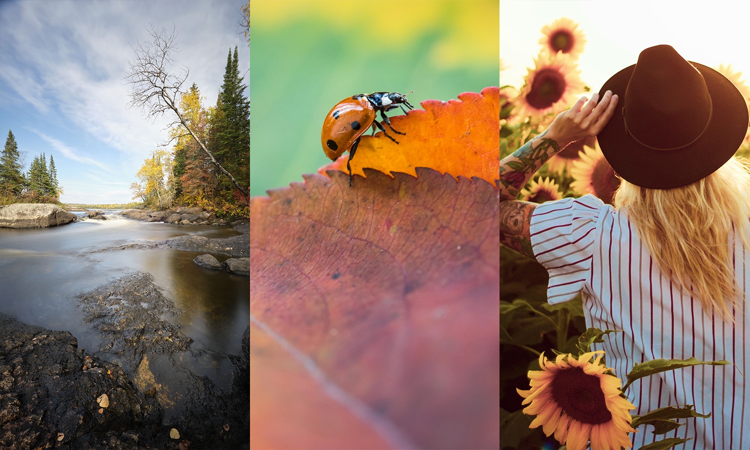 Featured image for “Announcing the 2022 CPAWS Fall Photo Contest Winners”