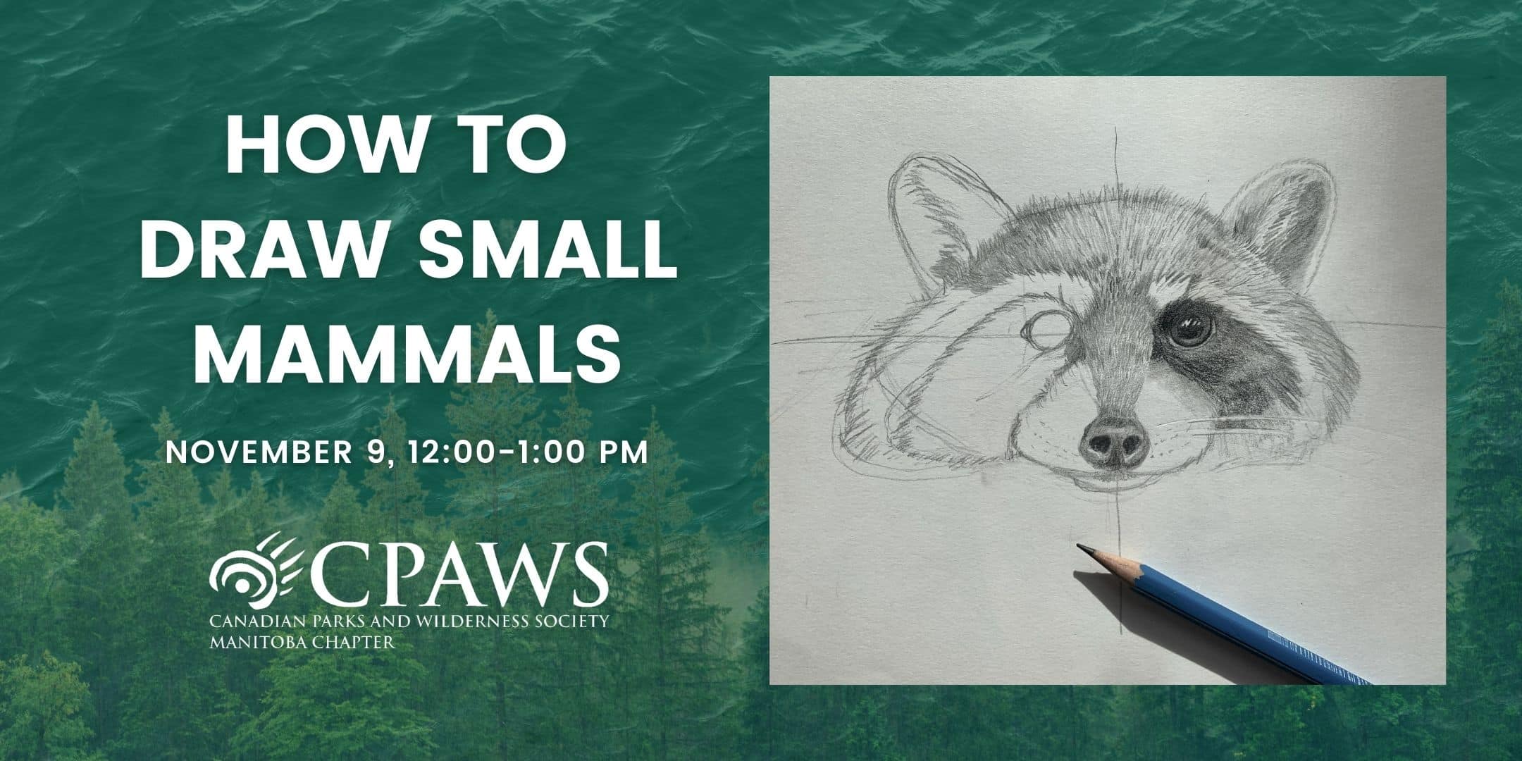Webinar hosted by CPAWS Manitoba designed to teach attendants to draw small mammals.
