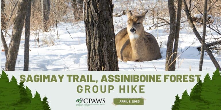 Join us at Assiniboine Forest in April for a fun Group Hike.