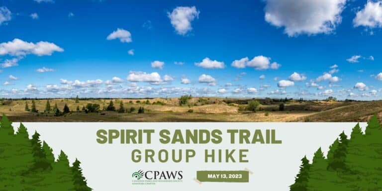 Join CPAWS Manitoba on a Group Hike through Spirit Sands in Spruce Woods Provincial Park in Manitoba.