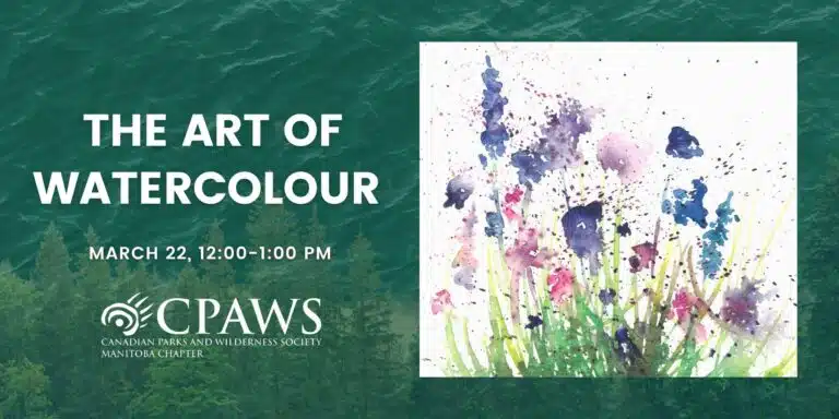 Banner graphic for Silvia Russell's March 22 CPAWS Manitoba webinar on the Art of Watercolour.