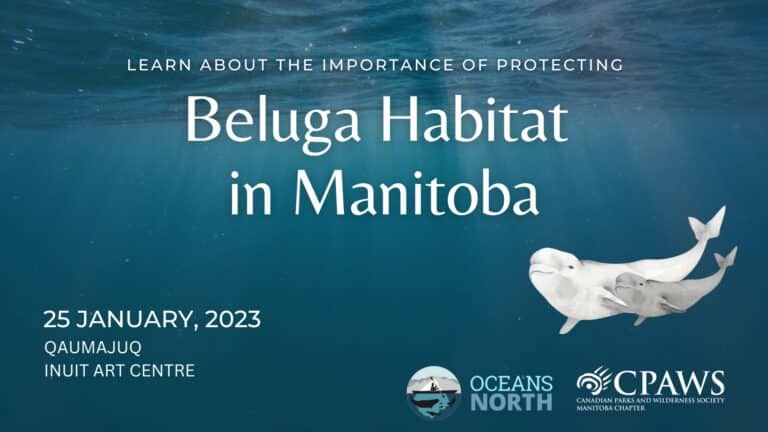 Jan 25 2023 Beluga Habitat in Manitoba Gala taking place at the Winnipeg Art Gallery.