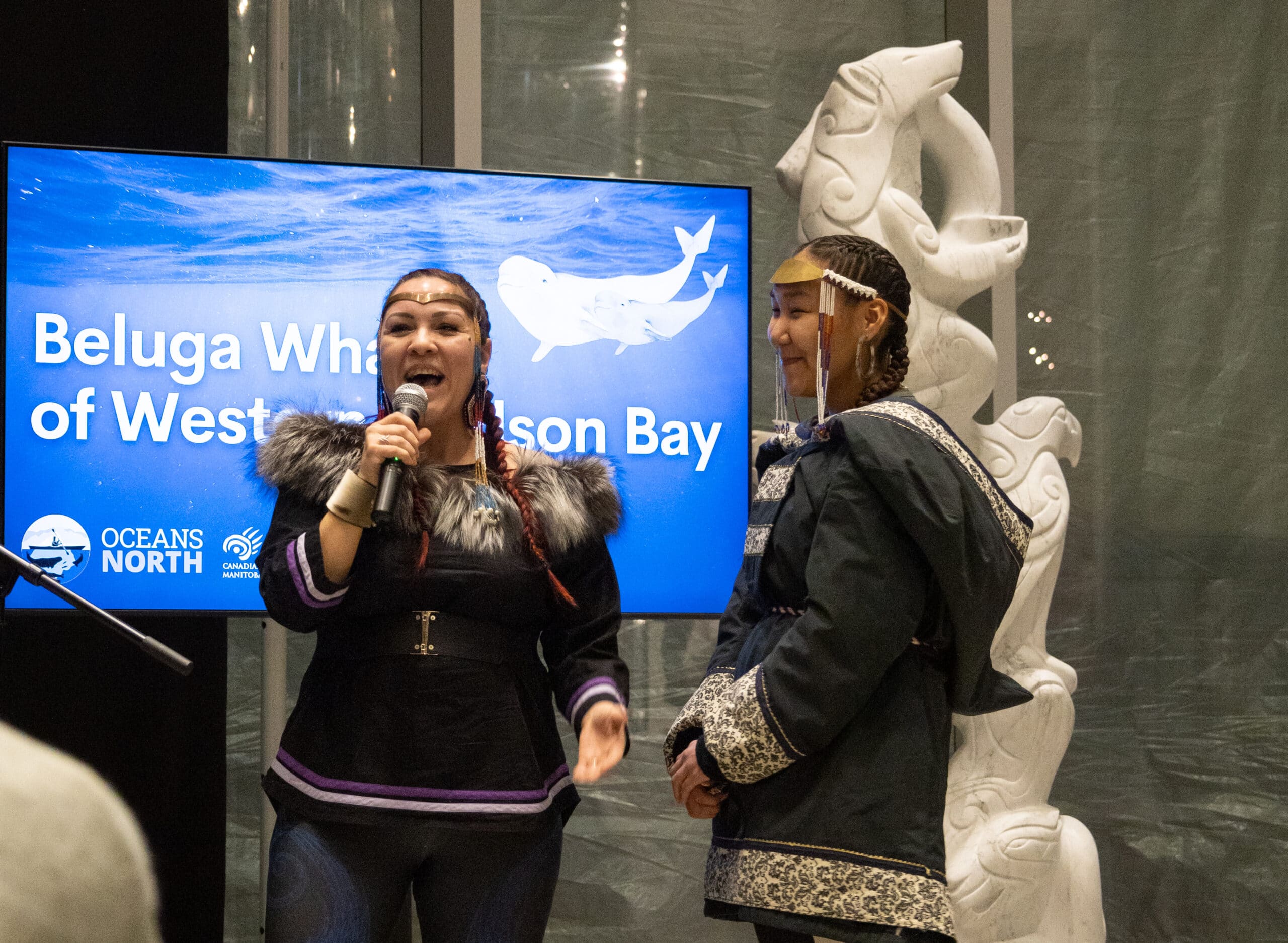 Featured image for “Beluga Gala Brings Canada’s Whale Protection into the Spotlight”