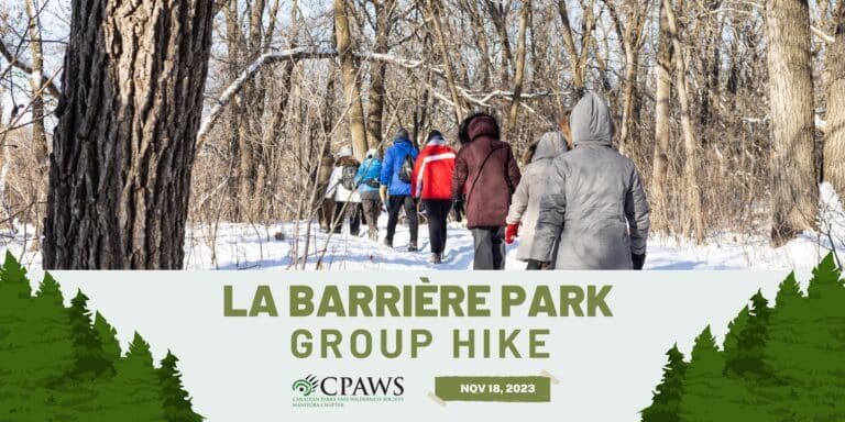 Banner for a group hike hosted by CPAWS Manitoba on November 18, 2023.