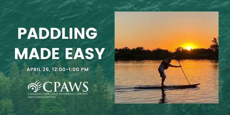 Register for CPAWS Manitoba's newest webinar hosted by Lesley Gaudry, the owner and operator of Nature's Edge Tourism, a Manitoba stand-up paddleboard (SUP) tour company.