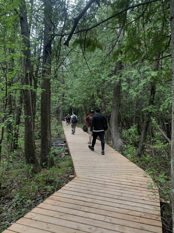 Featured image for “Hike at Cedar Bog Trail in Birds Hill”