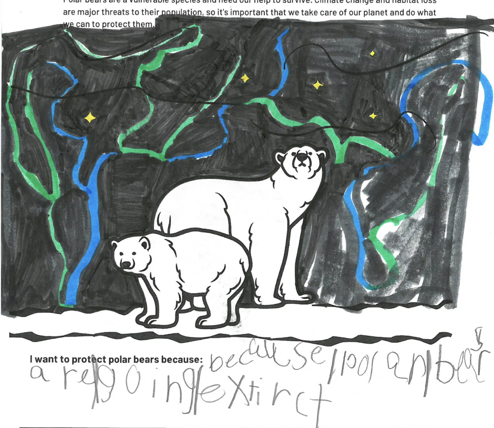 Featured image for “Protecting Our Polar Pals”