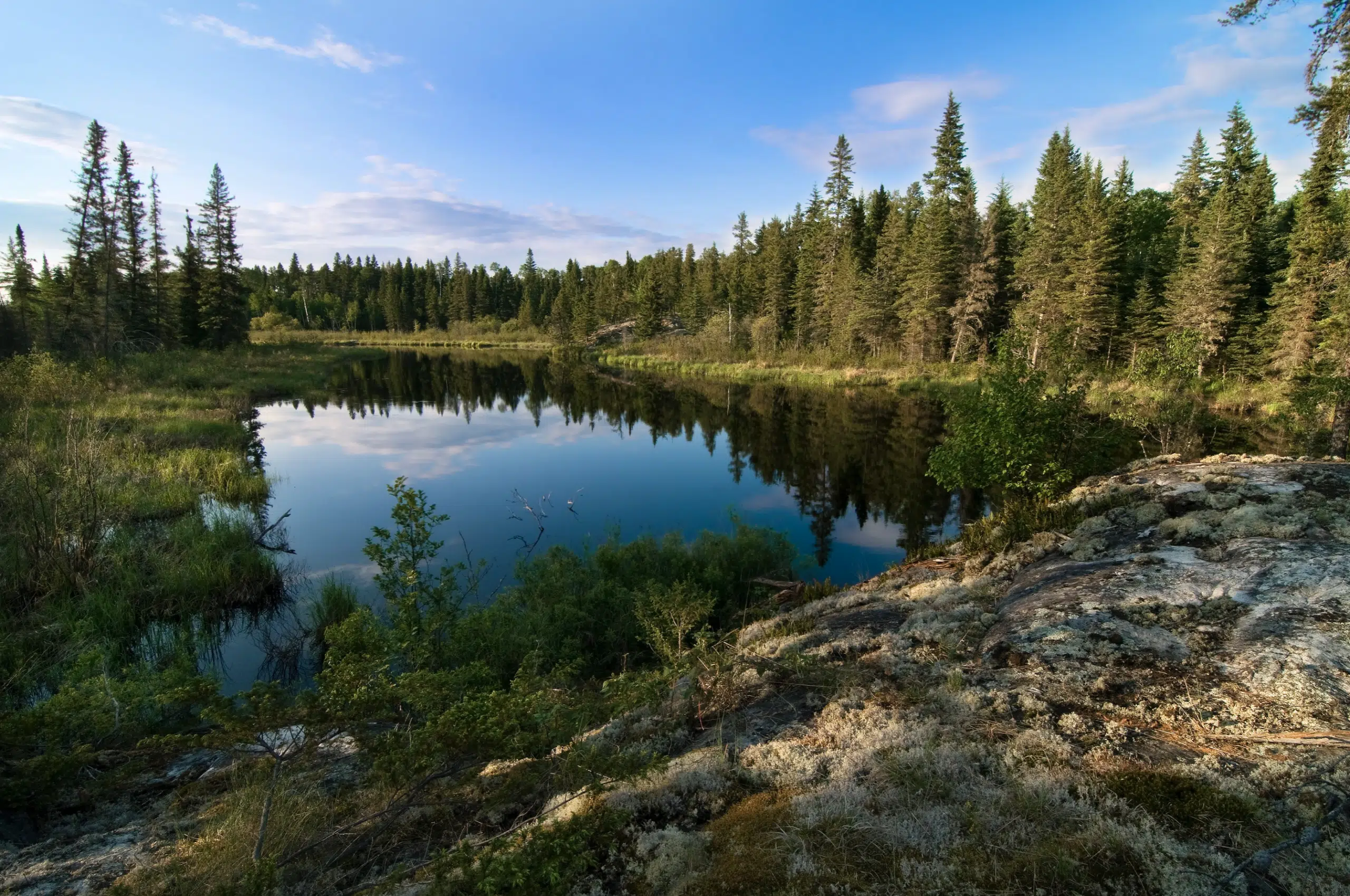 Featured image for “Find Out What Manitoba’s Political Parties Say About Conservation”