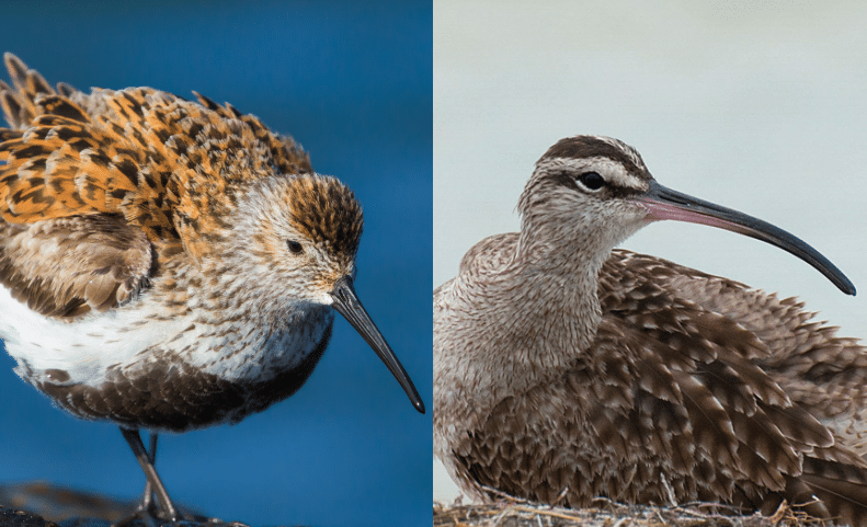 Ecological Reserves in the Hudson Bay Area