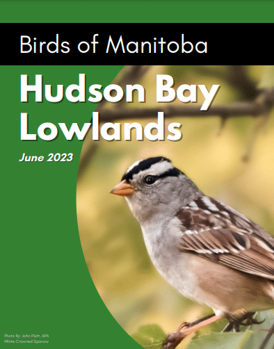 Birds of Manitoba's Hudson Bay Lowlands: A Vital Ecosystem in Need