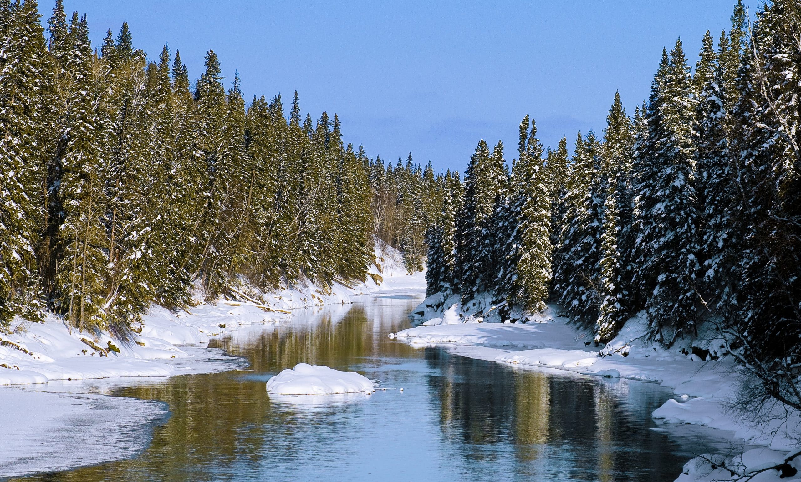 Featured image for “Manitoba Scores a B- on Conservation Report Card”