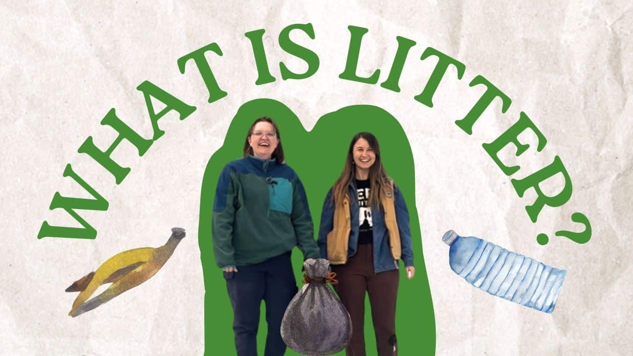 Featured image for “What is Litter? Help Make a Difference in your Community!”