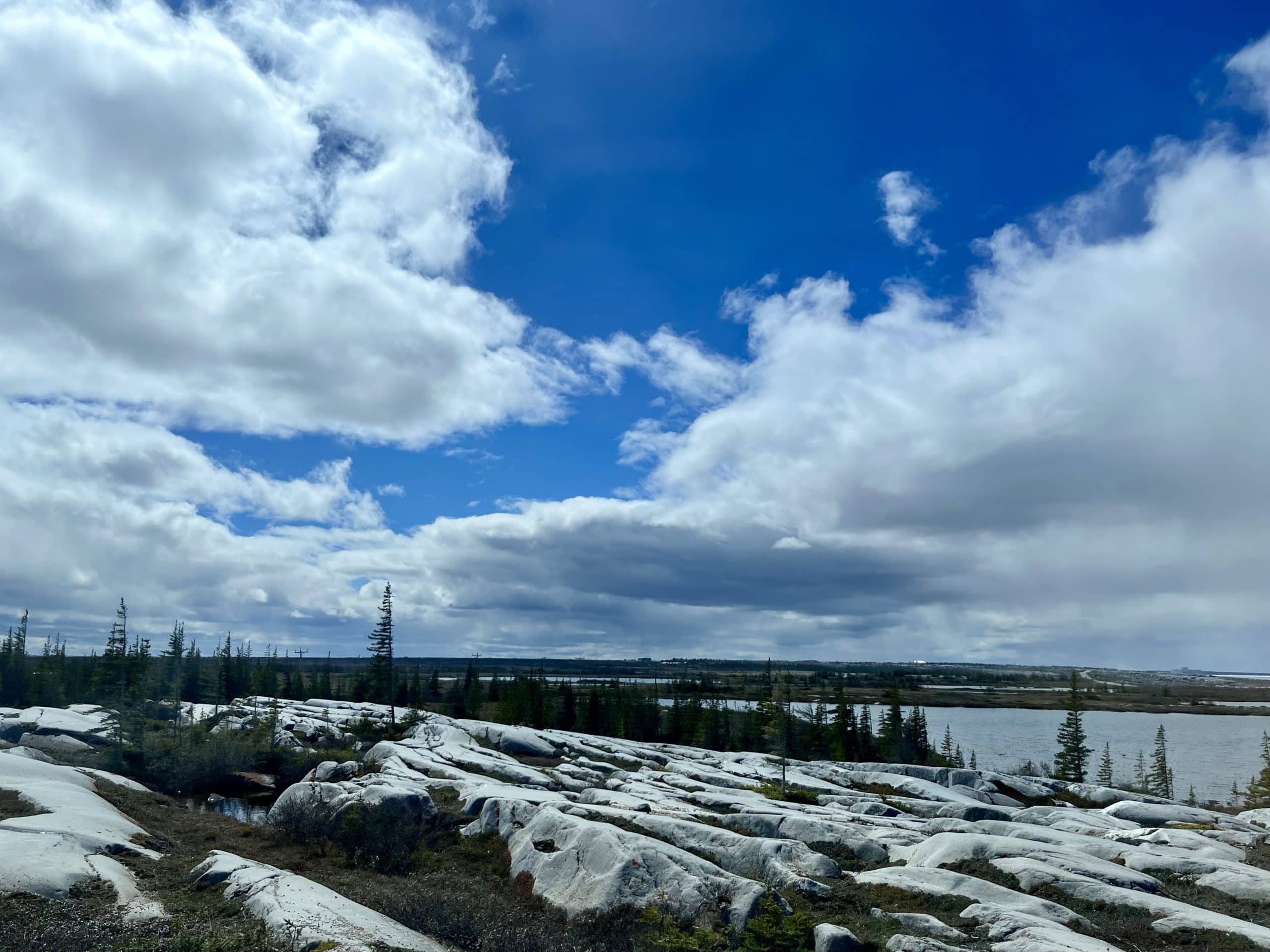 Featured image for “Hudson Bay-sics”