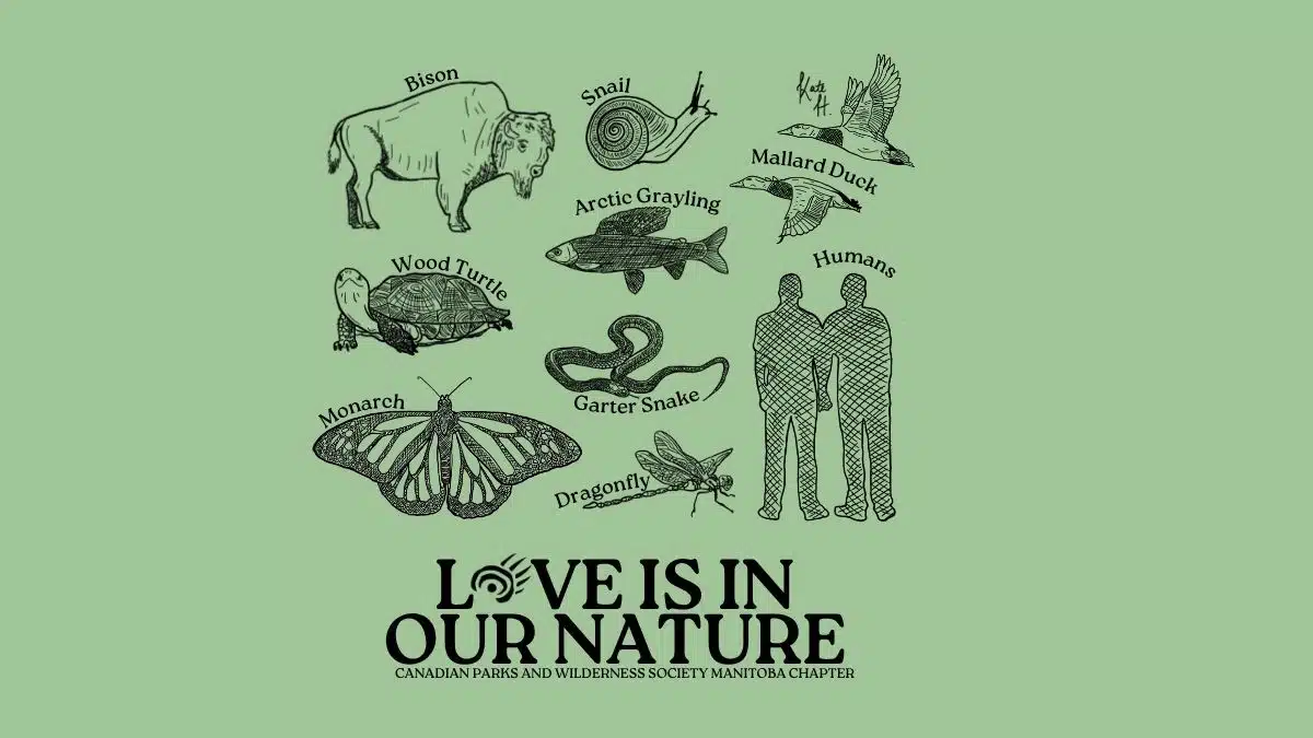 Featured image for “Love is in our Nature”