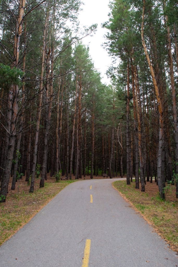 Kingfisher Lakeview Trail in Birds Hill Provincial Park (Riley Martin)