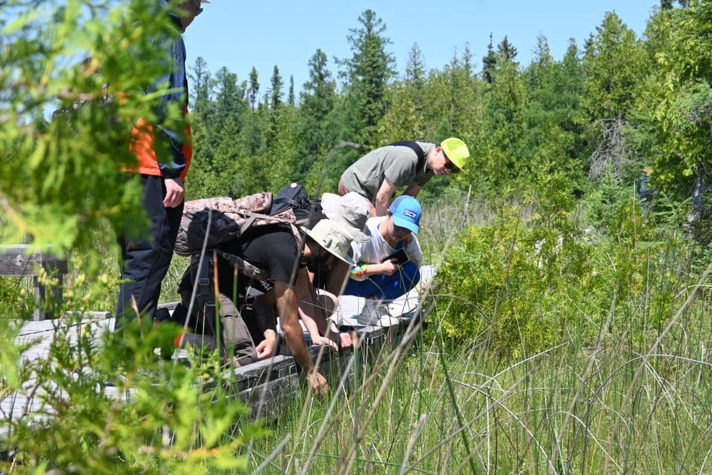 Hikers getting a closer look at the plant life of Brokenhead Interpretative Trail