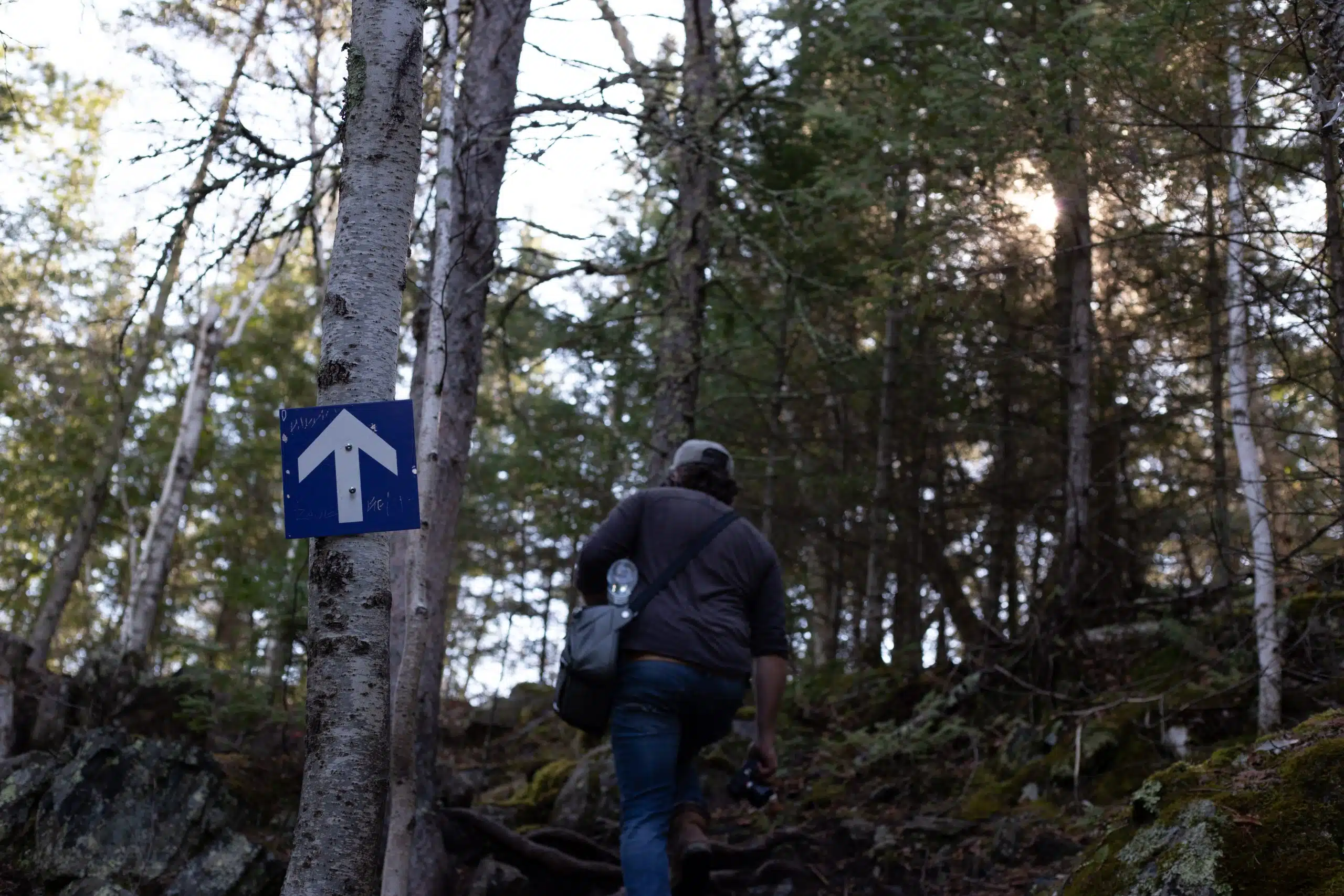 Featured image for “Manitoba’s Parks Are Calling — Are You In?”