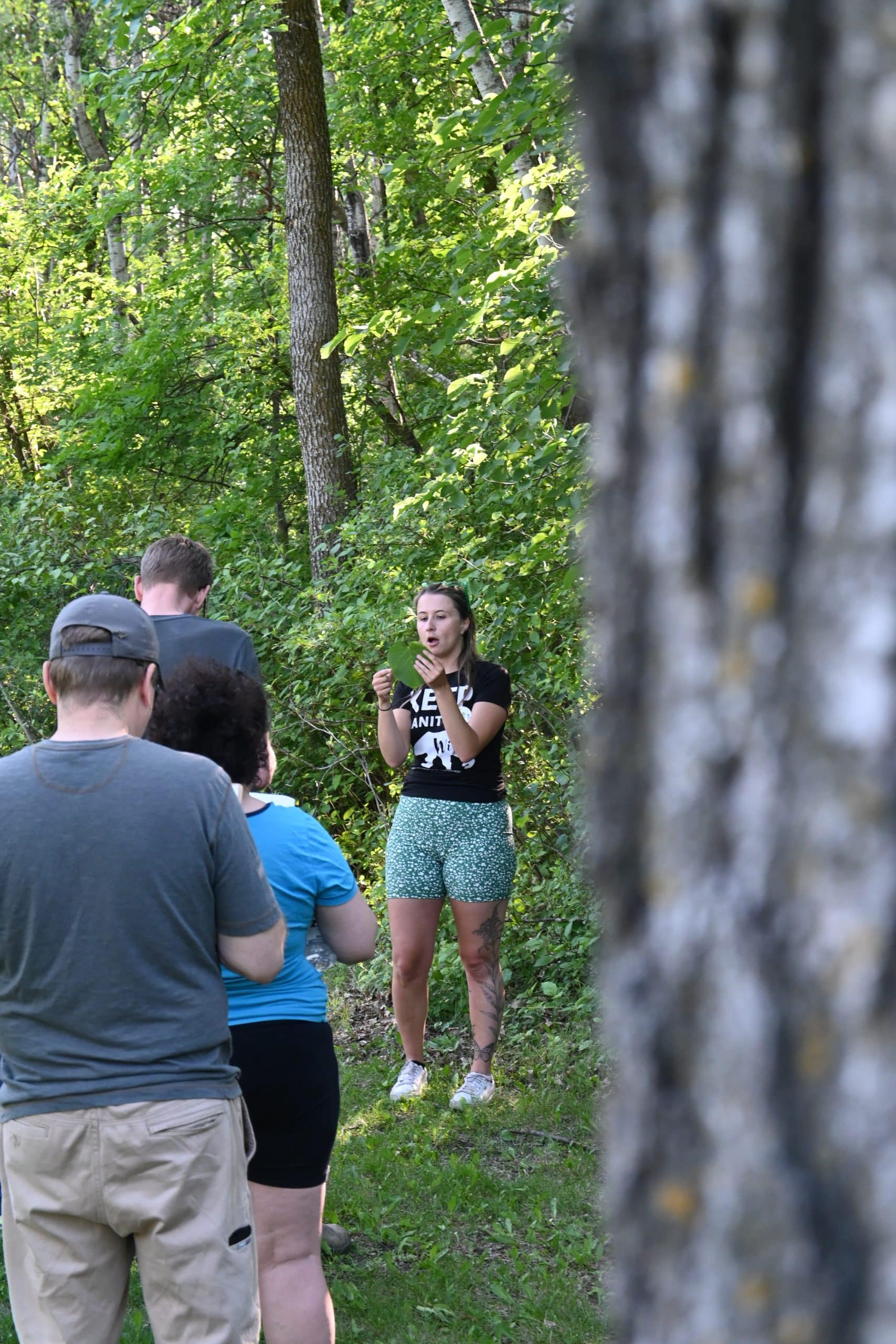 Featured image for “How to Identify Manitoban Trees”