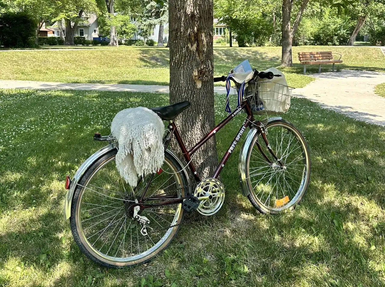 Featured image for “How to Live Eco-Friendly”